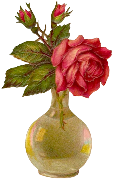 BONSOIR A TOUS